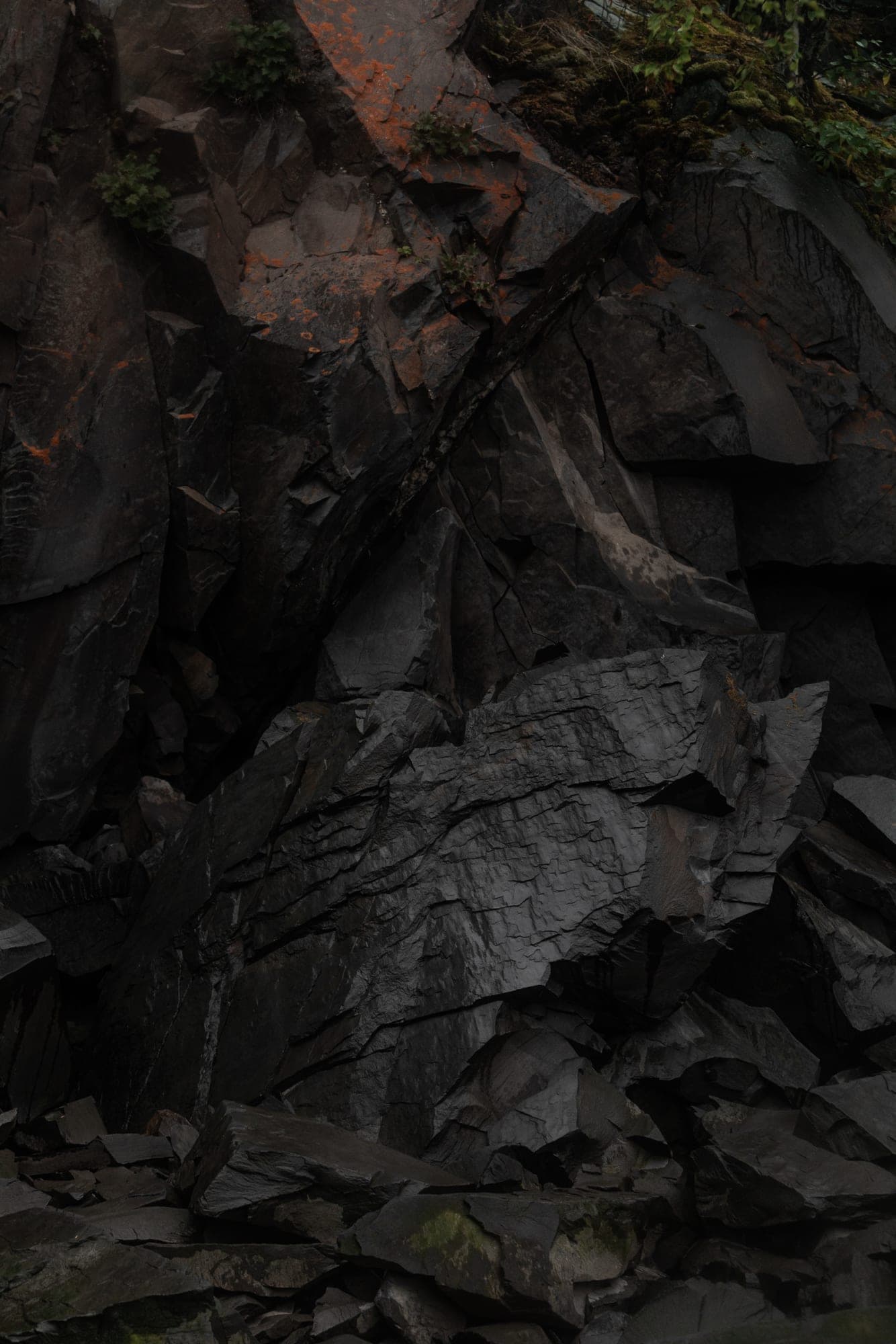 A dark, wet rock face streaked with bright orange lichen, filling the frame, in the Ticino mountains.