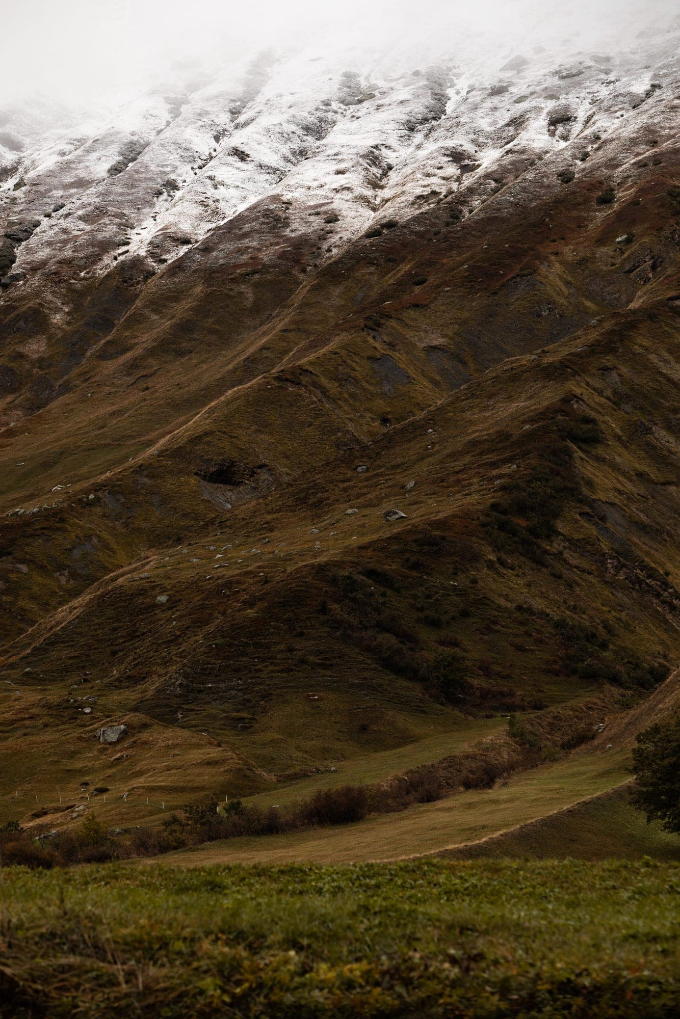 The snowline cutting diagonally across a steep grass slope, half snow and half bare ground, in Graubünden.