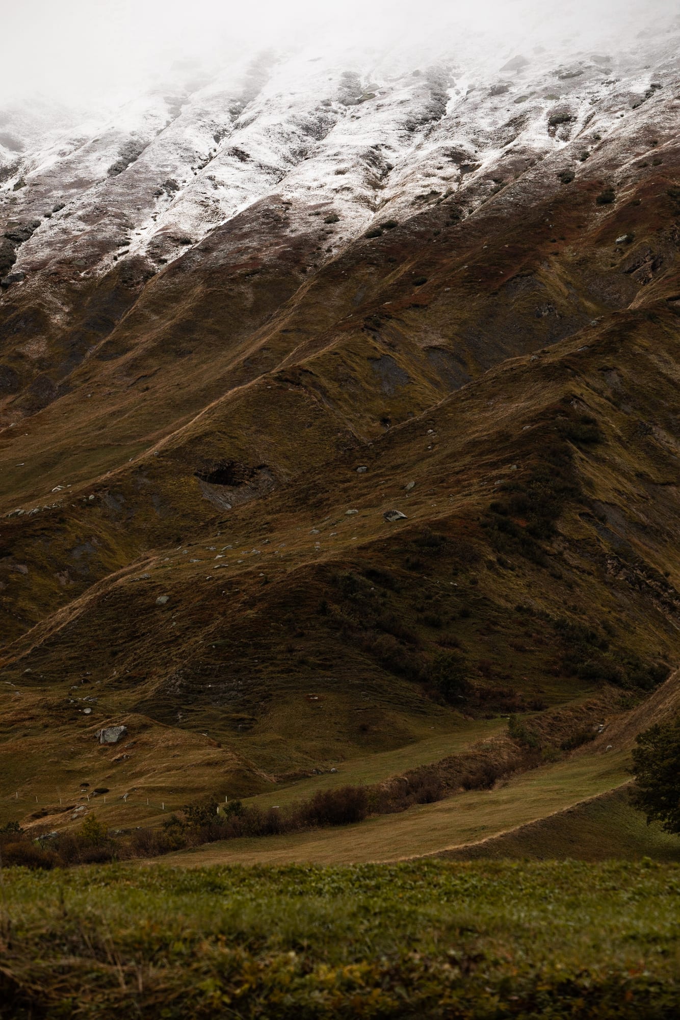The snowline cutting diagonally across a steep grass slope, half snow and half bare ground, in Graubünden.